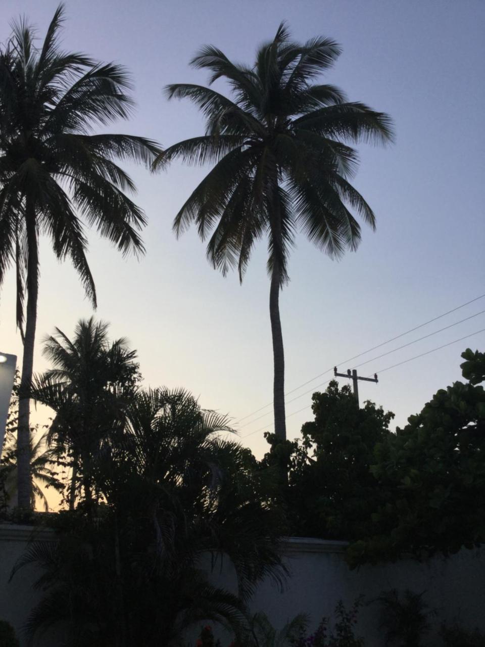 Hotel Arista Bugambilias Puerto Arista Eksteriør bilde